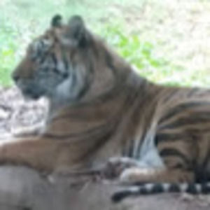 Meet your Posher, William